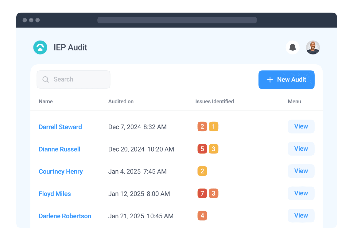 Audit Overview